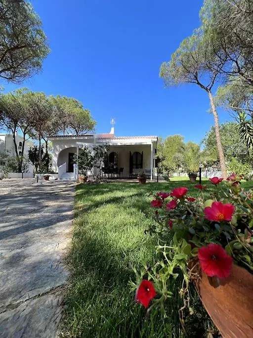 Villa Immersa Nel Verde A 150Mt Dal Mare Adiacente Al Forte Village Resort